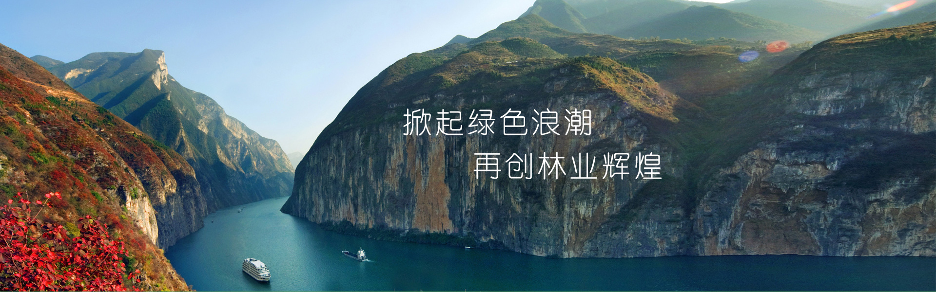 新盛公司