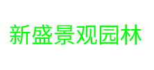 新盛公司
